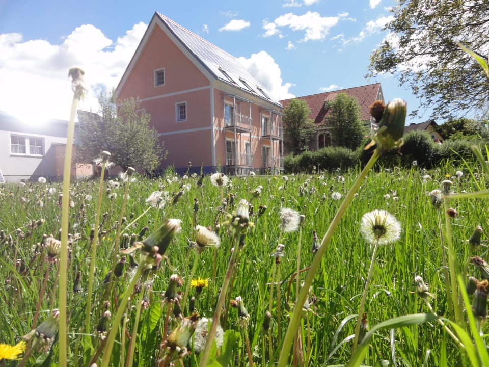 Villa Familiengasthof Maier