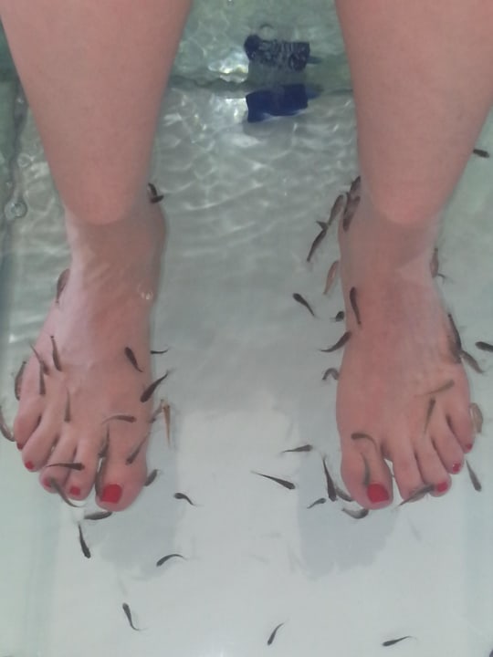 Fisch Therapie im Hotel Hotel Delphin Palace