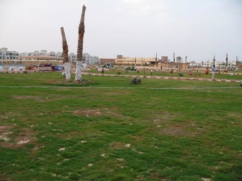Bild Pickalbatros Dana Beach Resort - Hurghada