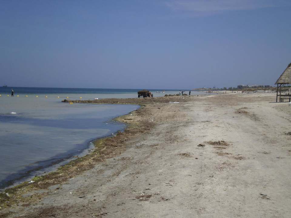 Plaża Hotel Rosa Beach