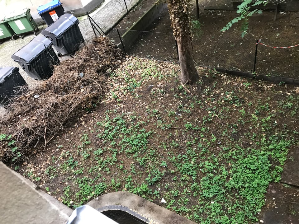 Gartenanlage Hotel Wittelsbach am Kurfürstendamm