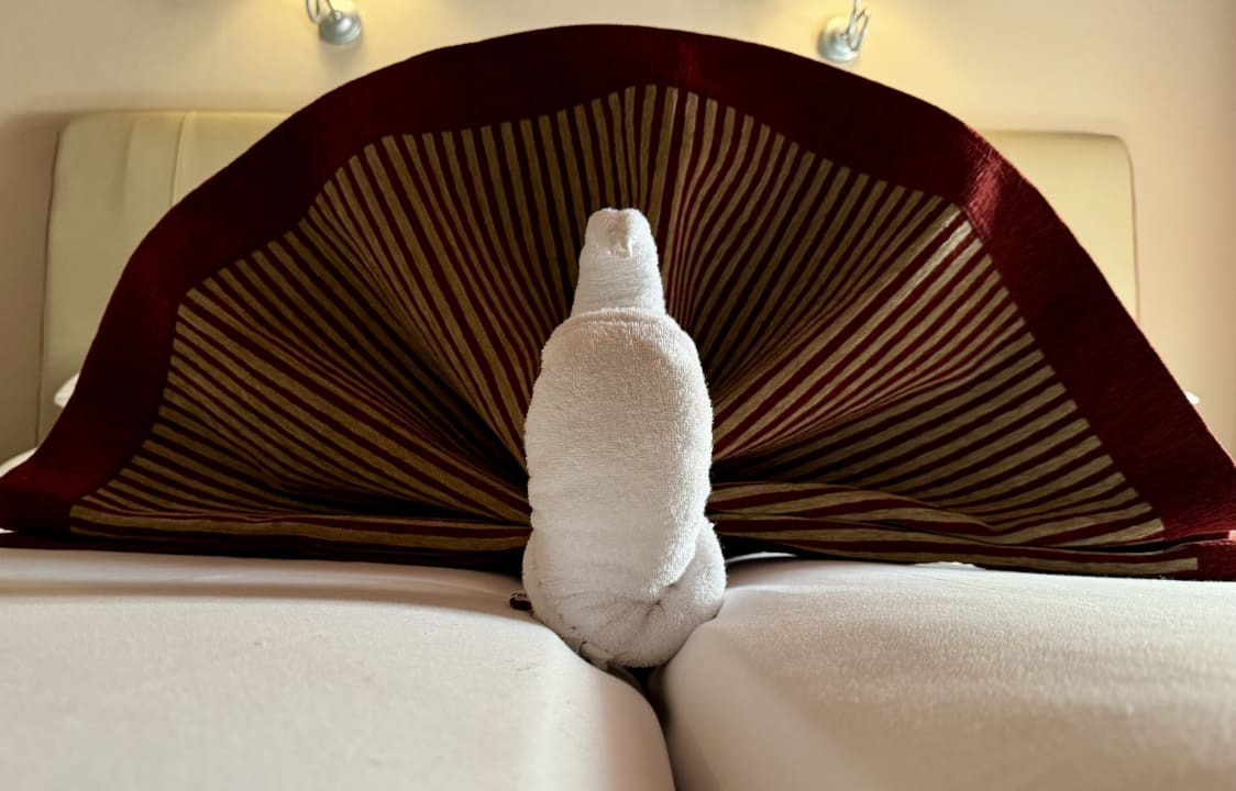 Zimmer Jaz Makadi Oasis Resort