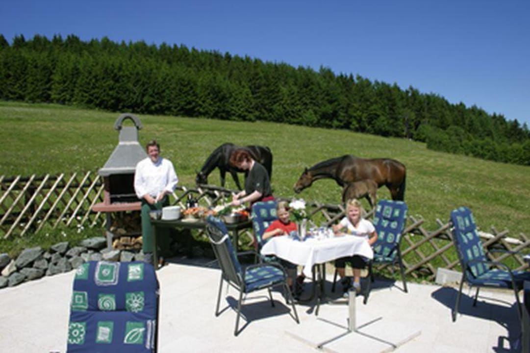 Grillplatz Berghaus Neuastenberg