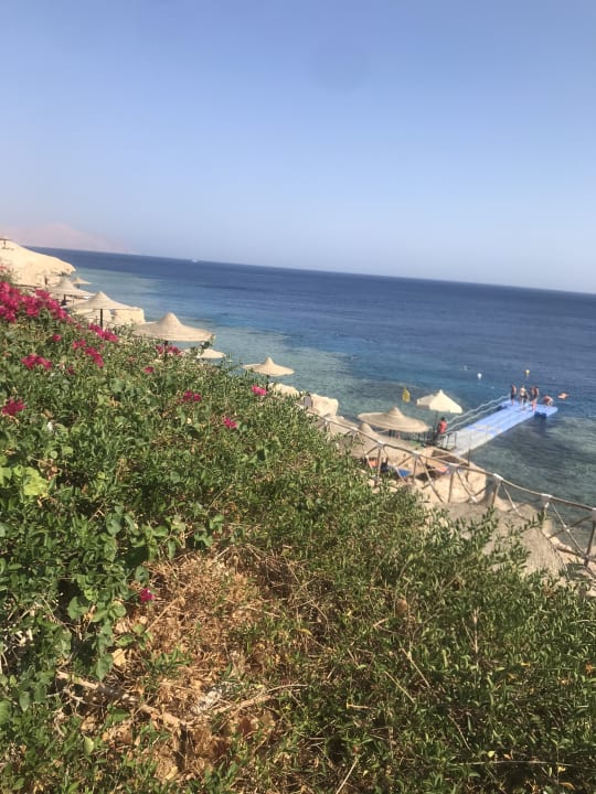 Strand Siva Sharm