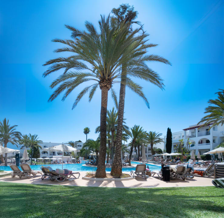 Pool Calimera Fido Gardens