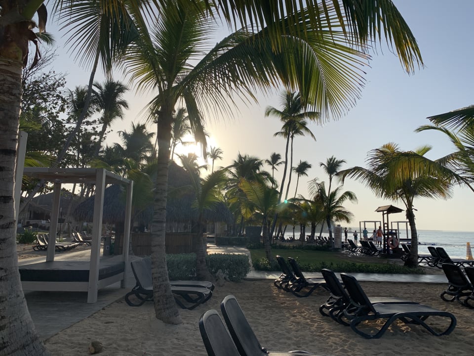 Strand Hotel Viva Dominicus Beach by Wyndham - All Inclusive Resort