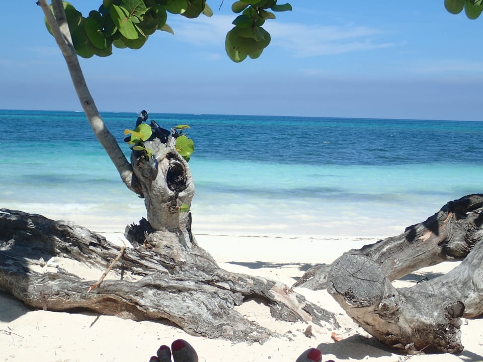 Blick nach links von meiner Liege Paradisus Rio de Oro Resort & Spa - Adults only