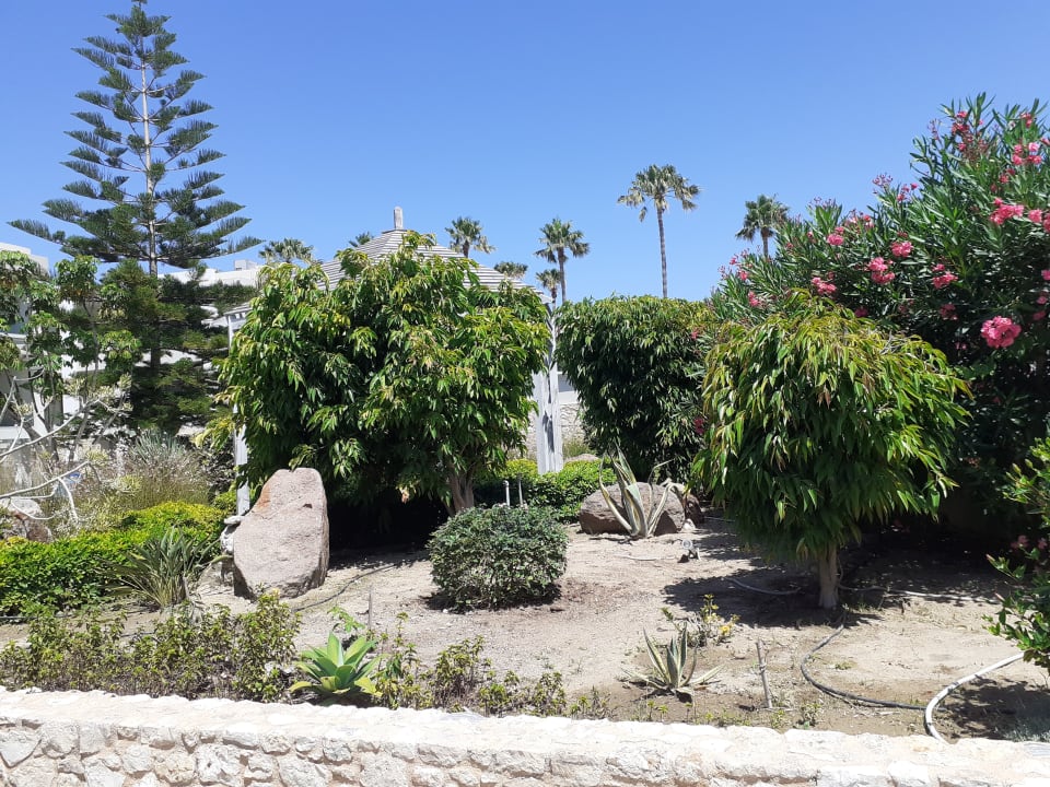 Gartenanlage Apollon Hotel