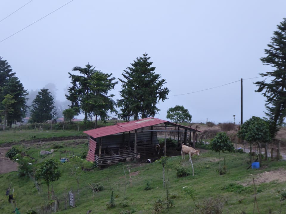 Ausblick Hotel Guayabo Lodge