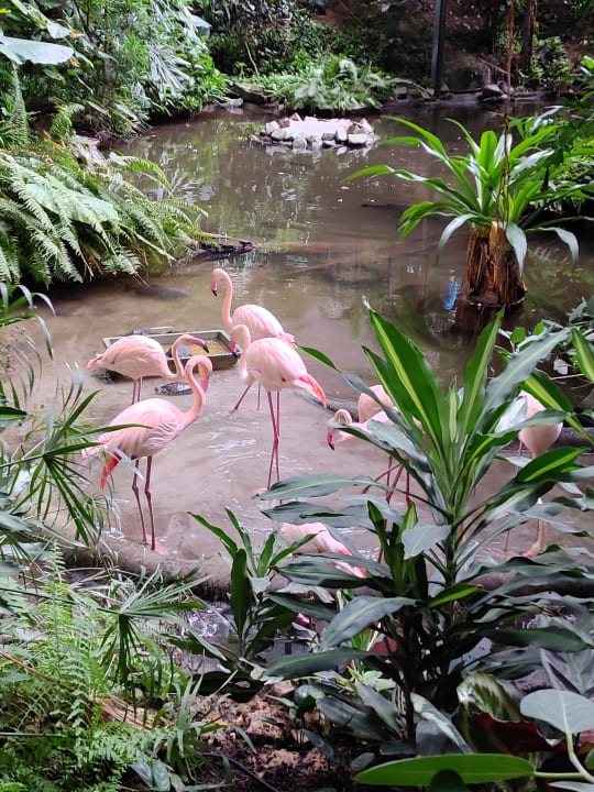 Ausblick Tropical Islands Resort