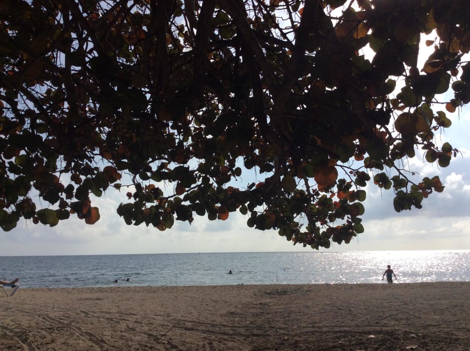 Sonnenuntergang Hotel Club Amigo Rancho Luna