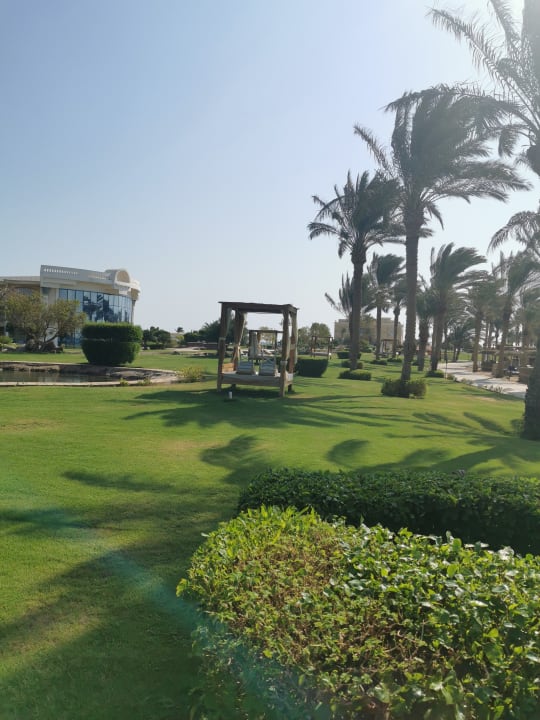 Gartenanlage Palm Royale Resort - Soma Bay