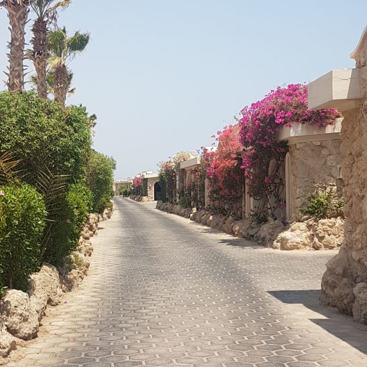 Sonstiges Pickalbatros Citadel Resort