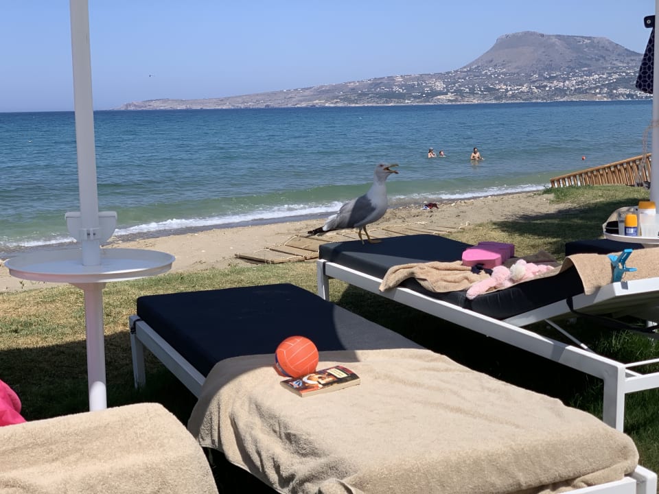 Strand Kiani Beach Resort Family All Inclusive