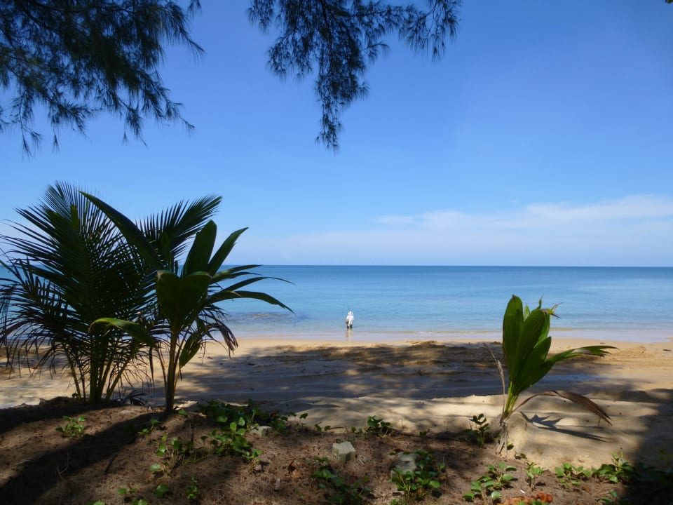 Kein überfüllter Strand, Traumhaft Khao Lak Merlin Resort