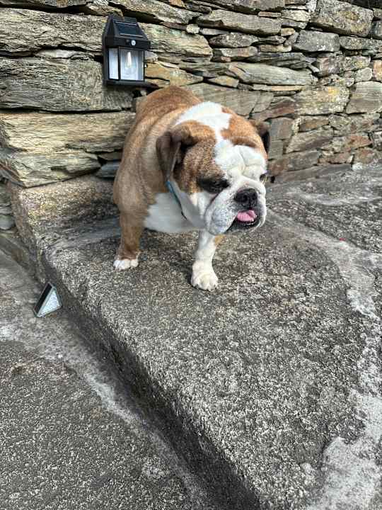 Sonstiges Hotel Casa do Visconde de Chanceleiros