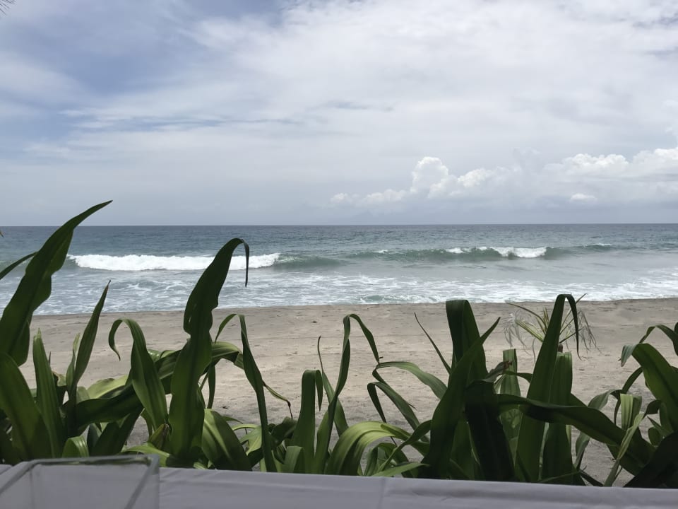 Strand Living Asia Luxury Resort & Spa
