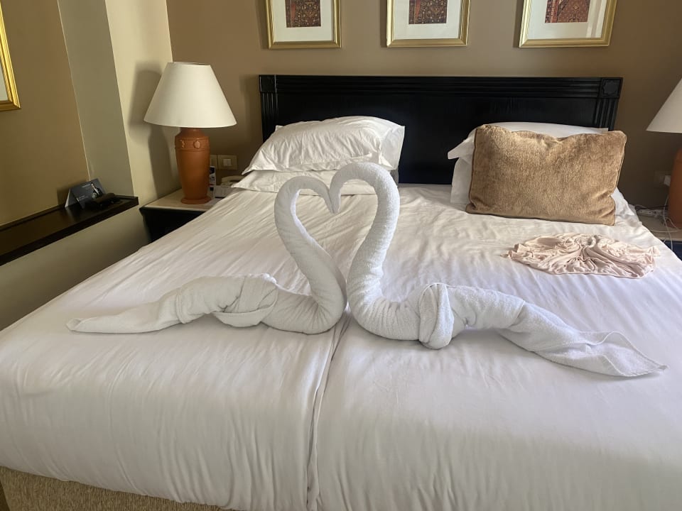 Zimmer Steigenberger Coraya Beach - Adults only