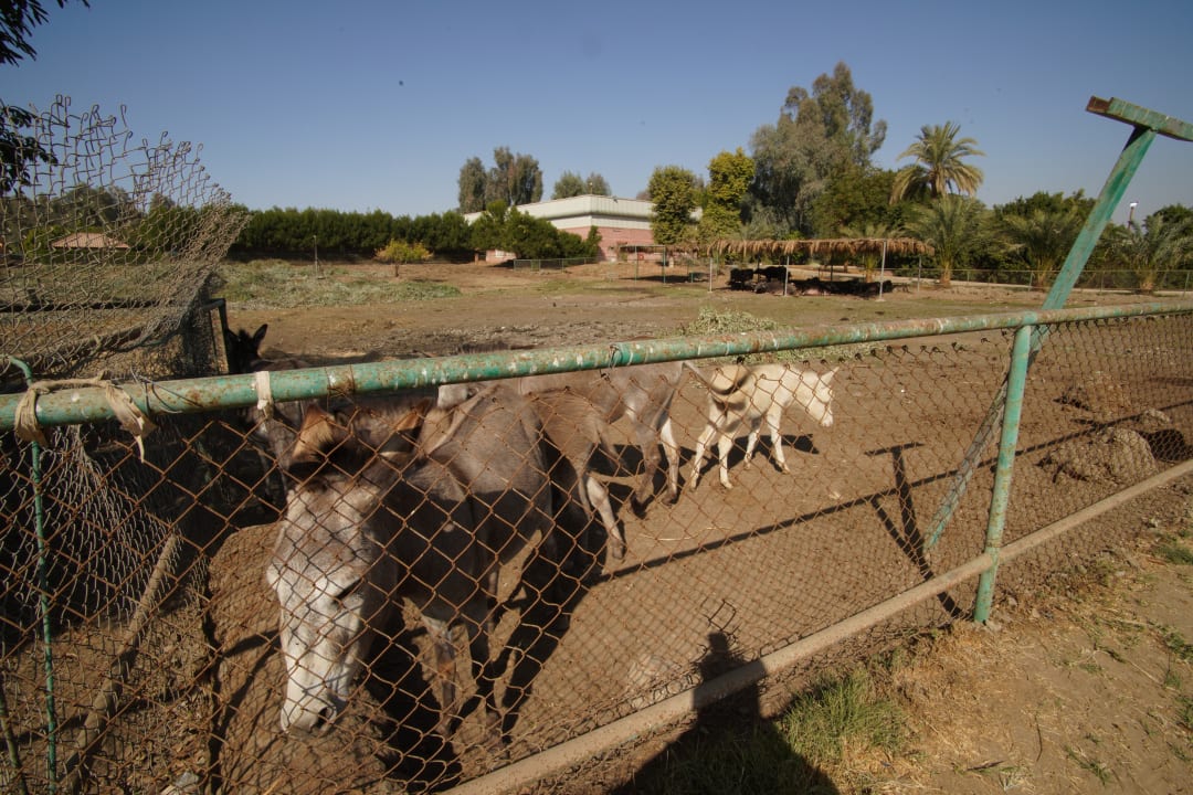 Gartenanlage Jolie Ville Kings Island Luxor