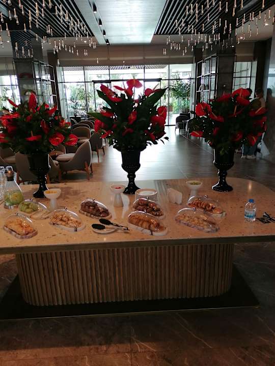 Lobby Süral Saray Hotel