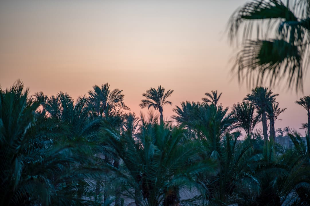 Ausblick Old Palace Resort Sahl Hasheesh