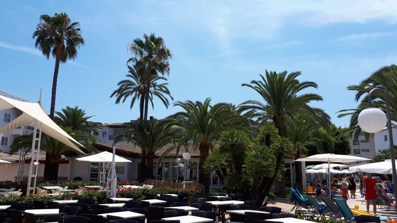 Gastro Alcudia Garden Aparthotel