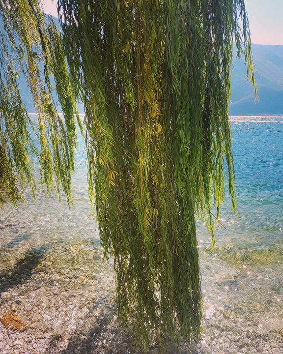 Strand Villa Romantica Beach Resort