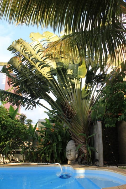 Pool im Garten Villa Seewoo