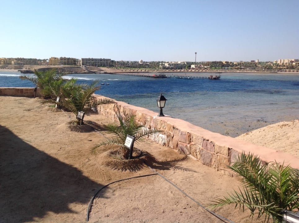 Gegenseite der Bucht Steigenberger Coraya Beach - Adults only