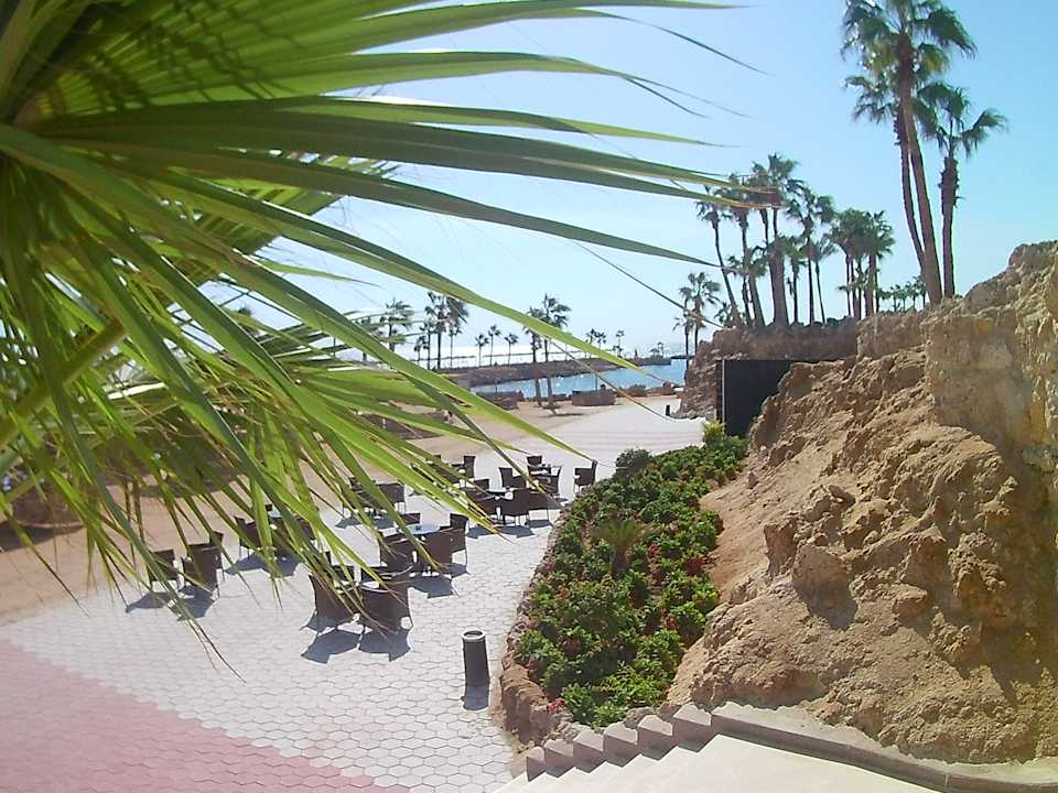 Ausblick Pickalbatros Citadel Resort