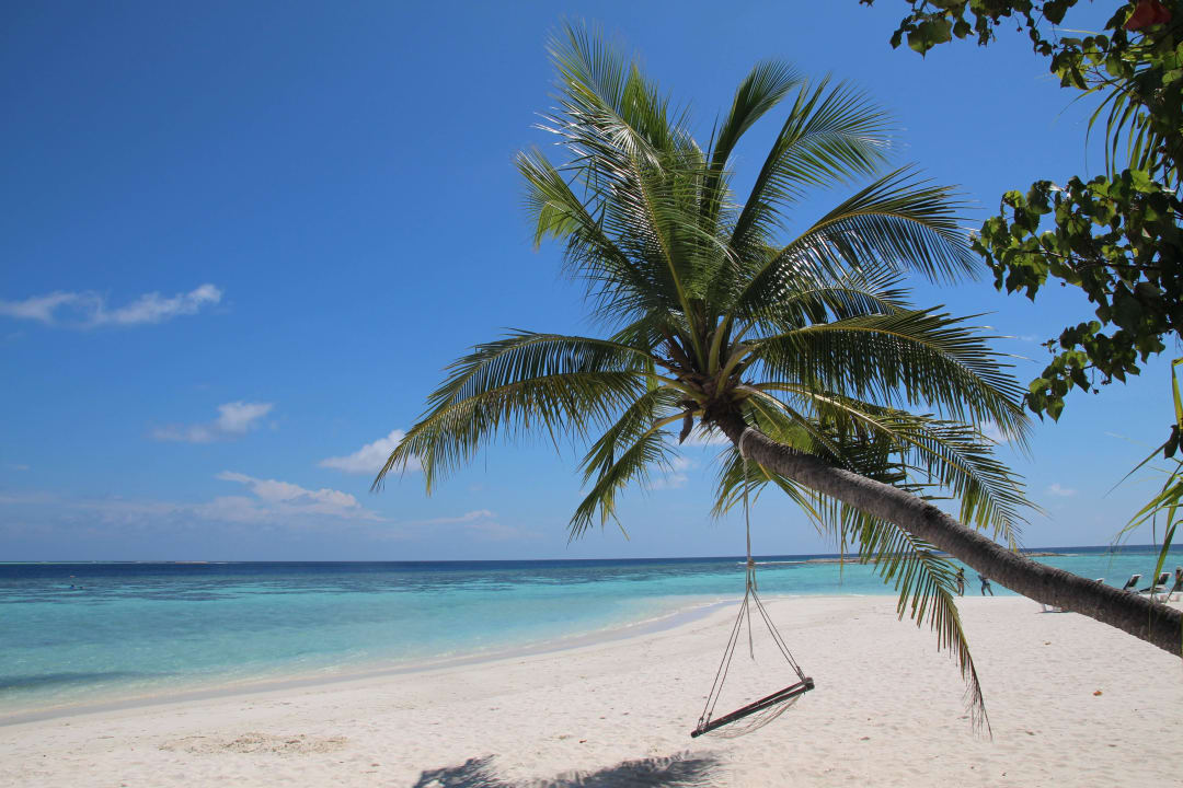 Zimmer Vilamendhoo Island Resort & Spa