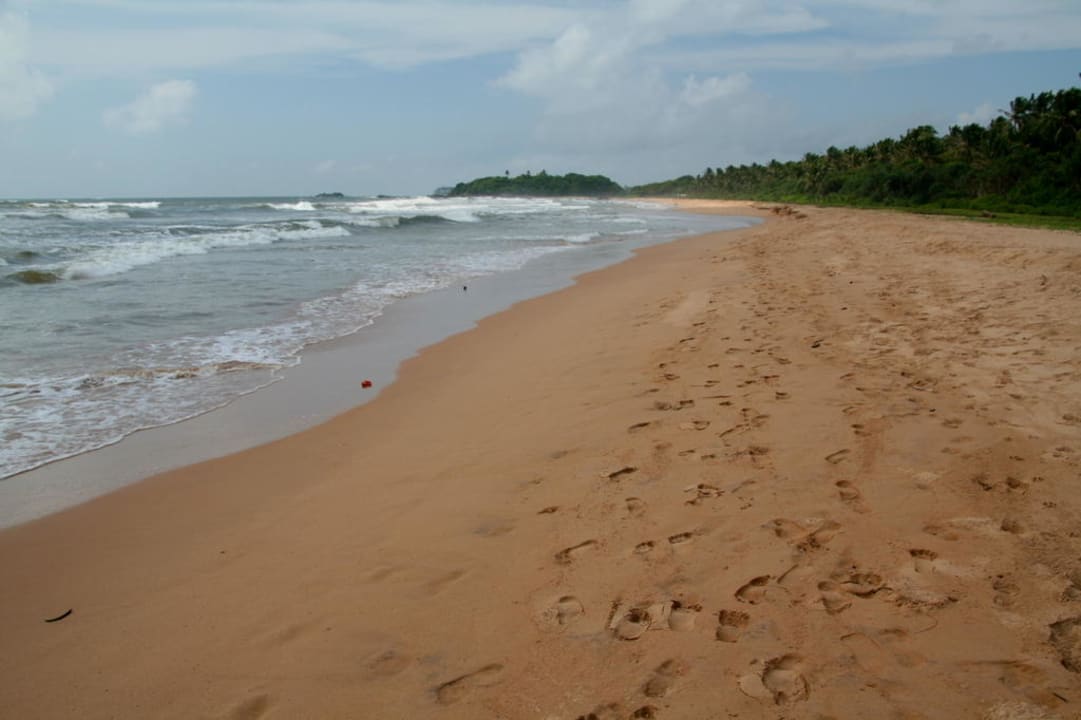 Strand in Richtung Süden Hotel Lanka Princess Ayurveda