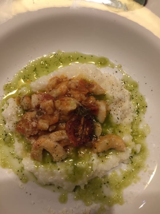 Gastro Acanthus Cennet Barut Collection