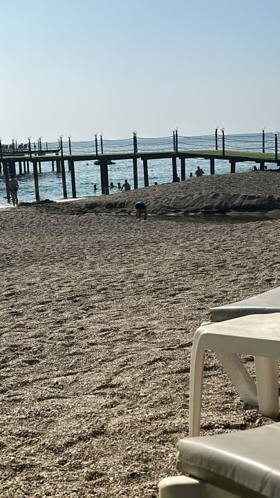 Strand Dizalya Palm Garden