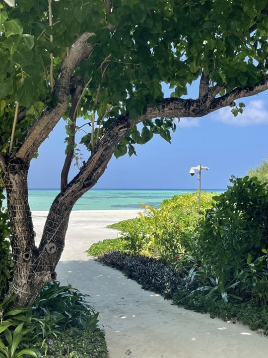 Gartenanlage Le Meridien Maldives Resort & Spa
