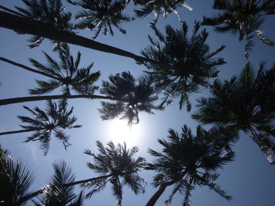 Blick von der Liege Mermaid Hotel & Club