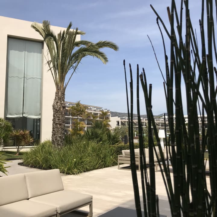 Gartenanlage Zafiro Palace Palmanova