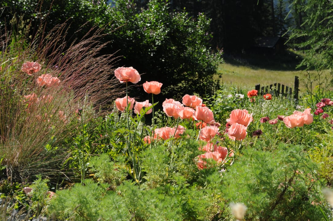 Gartenanlage Hotel Snow & Mountain Resort Schatzalp