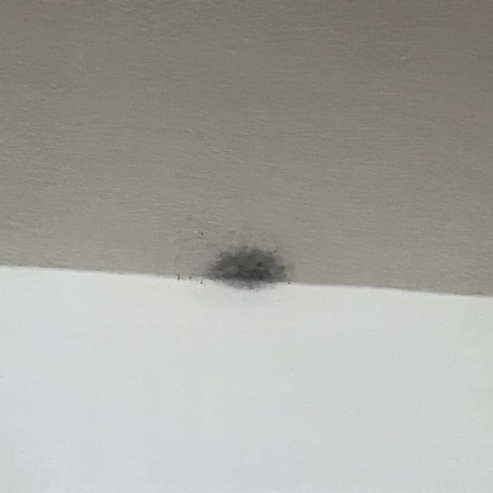 Zimmer THB Cala Lliteras