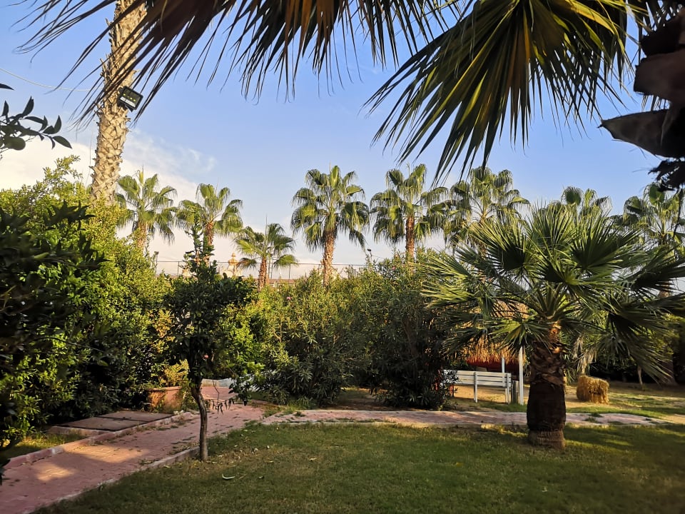 Gartenanlage Hane Family Resort