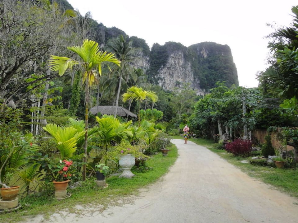 Красота Ban Sainai Resort