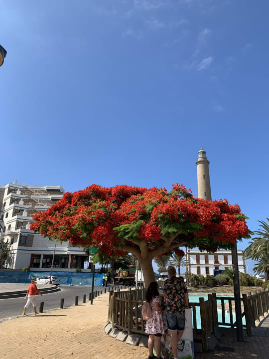 Sonstiges Hotel Riu Palace Meloneras