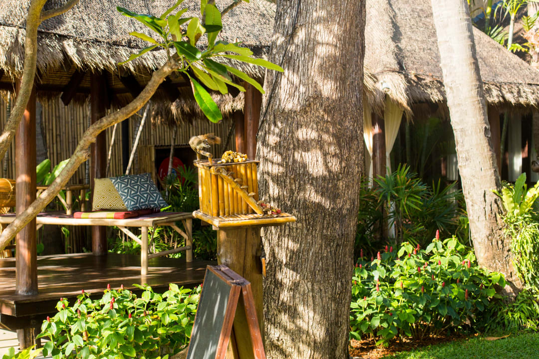 Gartenanlage Buri Rasa Village Samui Adults Only Resort