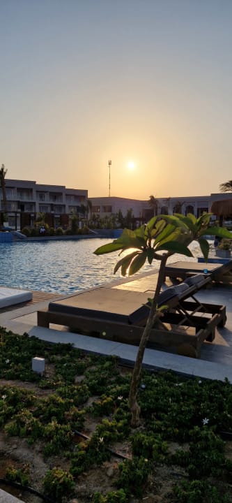 Pool Steigenberger Resort Ras Soma