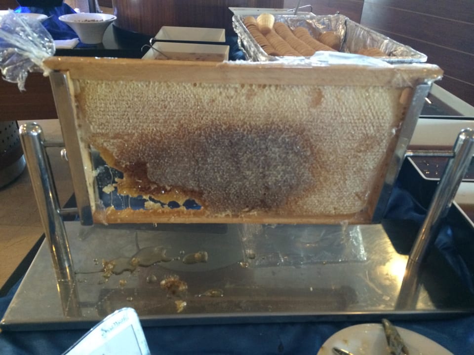 Klebrige Angelegenheit Seaden Sea World Resort & Spa