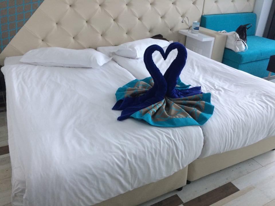 Zimmer Sentido Marea