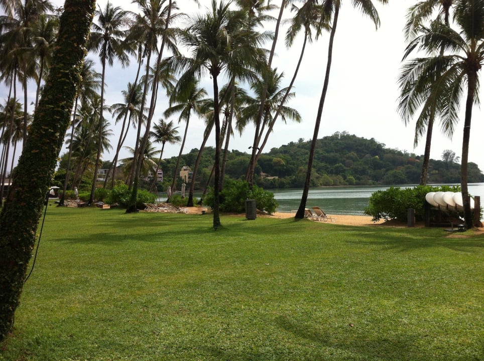 Palmen am Strand Crowne Plaza Phuket Panwa Beach