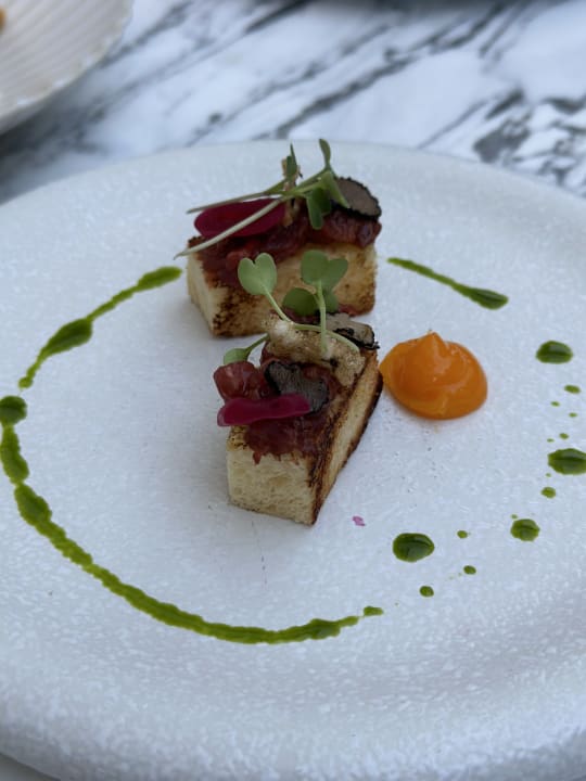 Gastro Acanthus Cennet Barut Collection