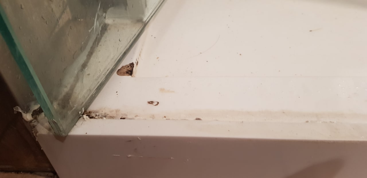 Zimmer Aparthotel Fontanellas Playa