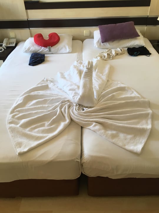 Bett Hotel Orfeus Park